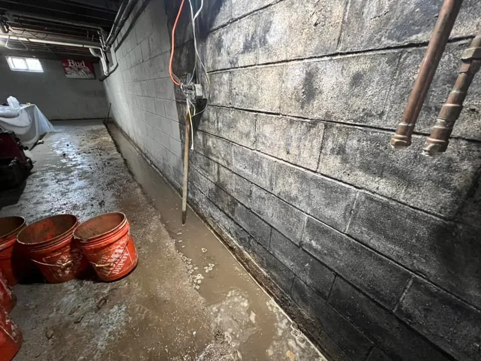 EcoSpect Bowed Wall Repair