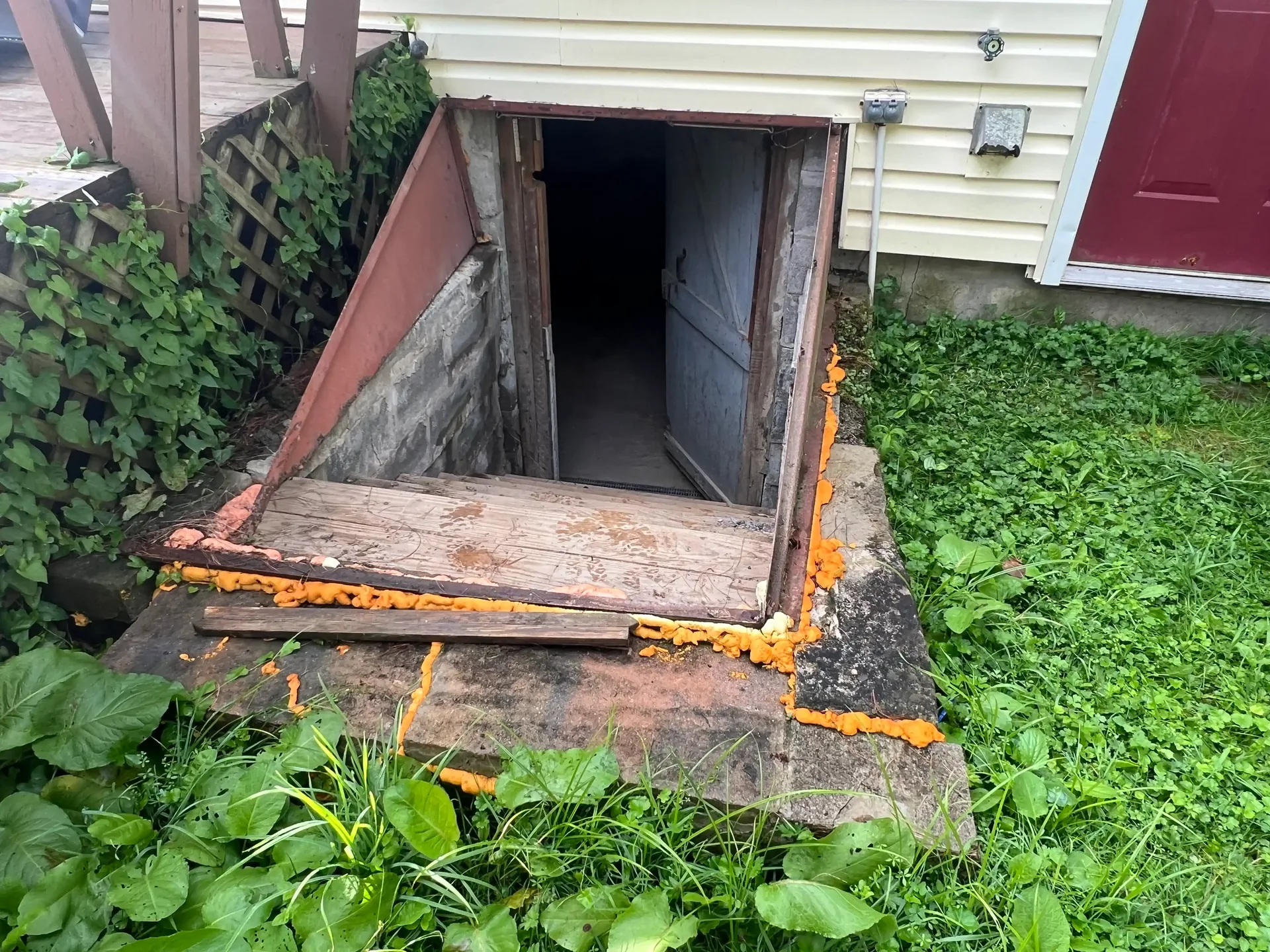 EcoSpect Before & After: The Basement Transformation before