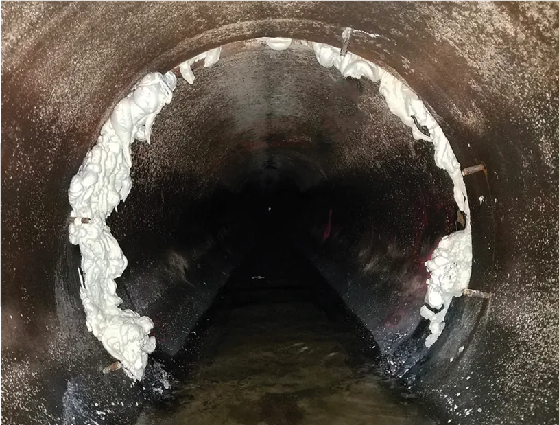 EcoSpect Polyurethane Systems for Infrastructure Applications